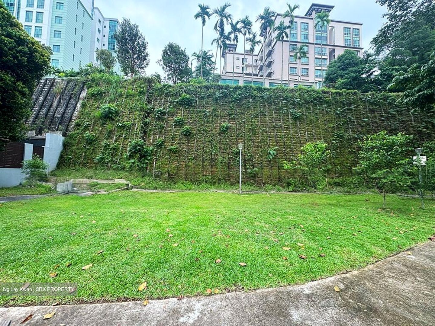 Hillview Avenue (D23), Terrace #507508731